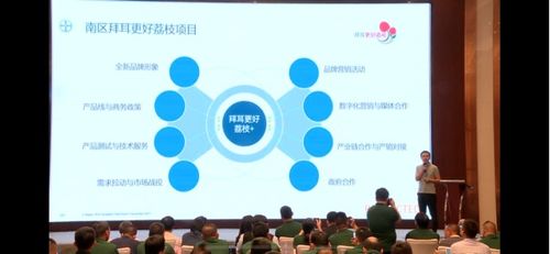 全國荔枝主產區種植面積達810萬畝 如何實現荔枝產業興旺